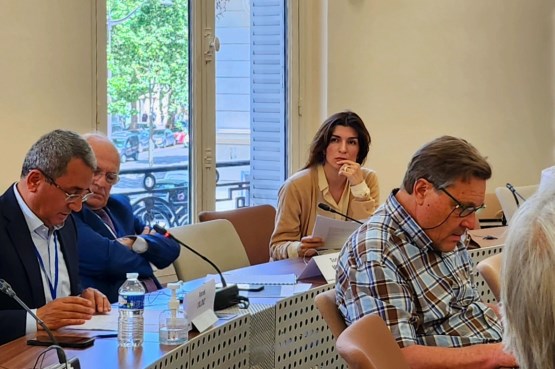 Poslanica u Predstavničkom domu i članica Delegacije PSBiH u Parlamentarnoj skupštini Vijeća Evrope Sabina Ćudić učestvuje u Parizu na sjednici Monitoring komiteta PSVE